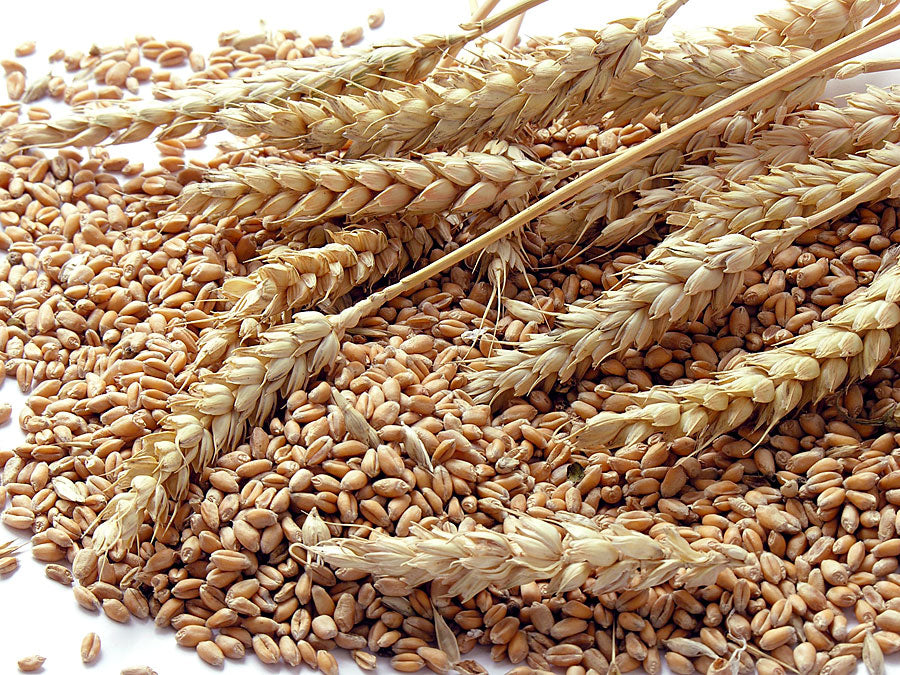 Do Grains Cause Hair Loss?